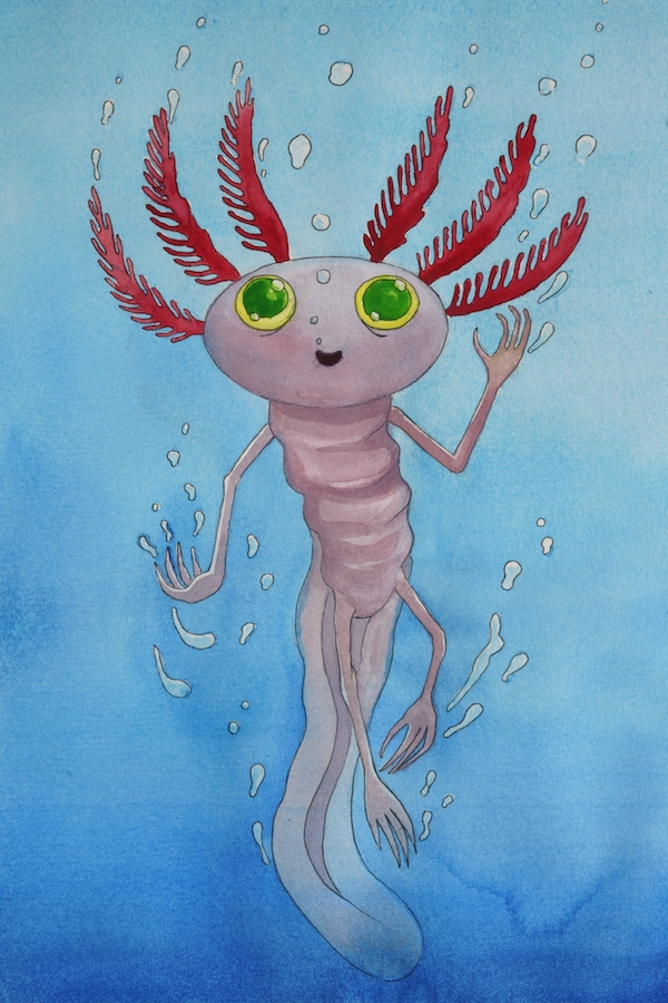 illustrations illustrations